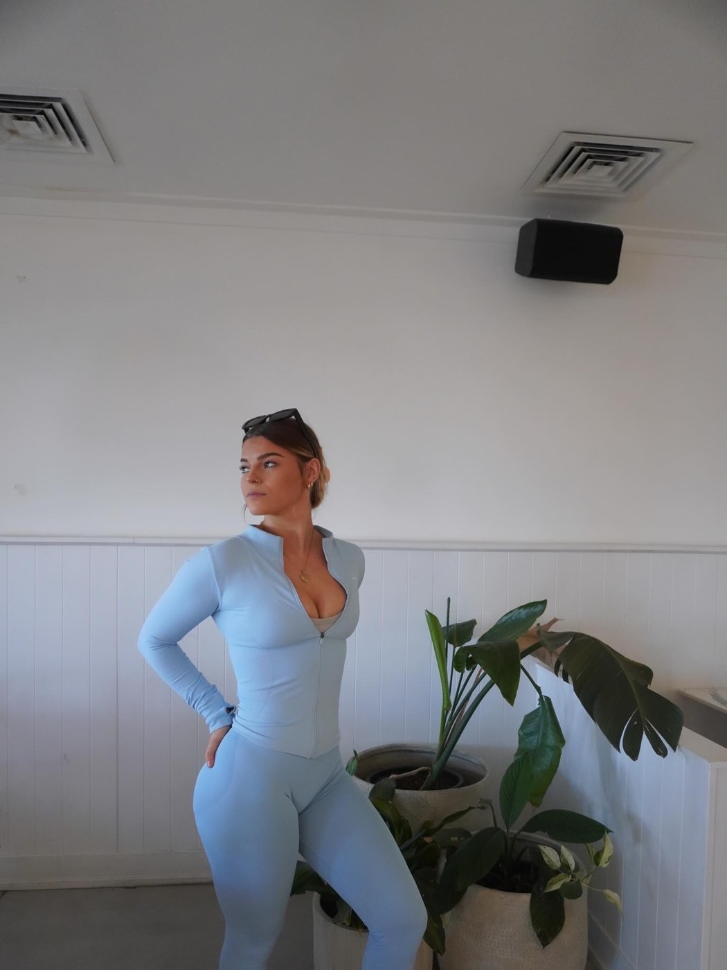 Blue set plant